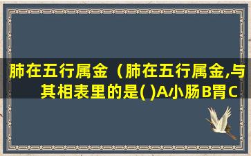 肺在五行属金（肺在五行属金,与其相表里的是( )A小肠B胃C胆D大肠E鼻）